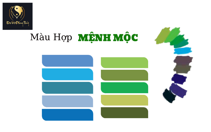 Màu sắc hợp phong thủy cho người mệnh mộc