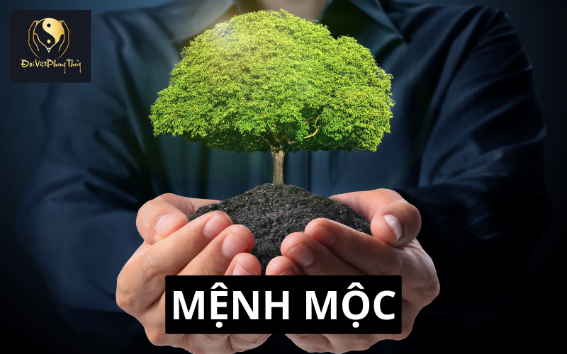 Khái quát về mệnh mộc