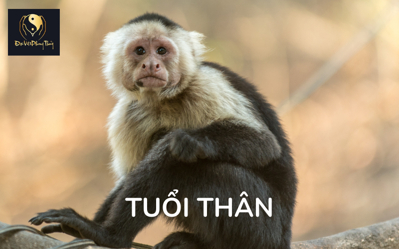 Khái quát về người tuổi Thân