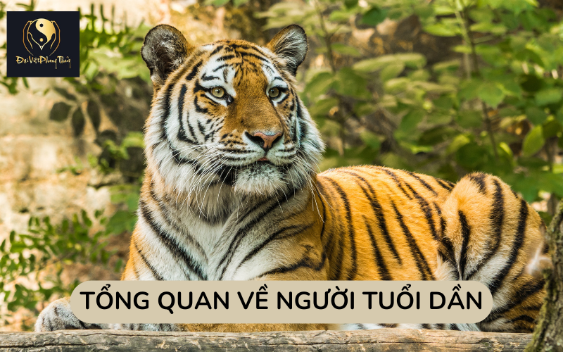 Tổng quan về người tuổi Dần