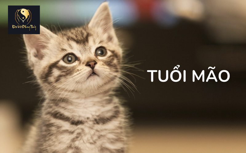 Tổng quan về người tuổi Mão