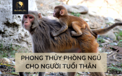 Dịch vụ Tư vấn Phong thuỷ Phòng ngủ người tuổi Thân