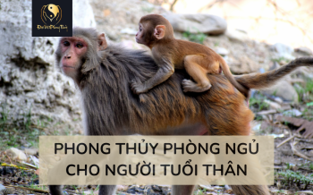 Dịch vụ Tư vấn Phong thuỷ Phòng ngủ người tuổi Thân