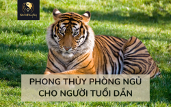 Phong thuỷ Phòng ngủ người tuổi Dần giúp Gia chủ Vượng Phát