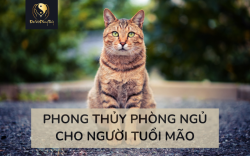 Phong thuỷ Phòng ngủ người tuổi Mão | Đại Việt Phong Thủy
