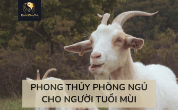 Tổng quan Phong thuỷ Phòng ngủ người tuổi Mùi