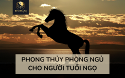 Phong thuỷ phòng ngủ người tuổi Ngọ | Chi tiết, Chính xác