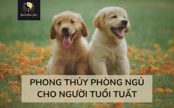 Xem Phong thuỷ Phòng ngủ người tuổi Tuất ở đâu Uy tín?