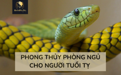 Phong thuỷ Phòng ngủ người tuổi Tỵ Chuẩn và Chính xác Nhất