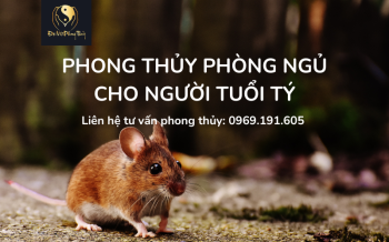 Tìm hiểu Cơ bản về Phong thủy Phòng ngủ tuổi Tý