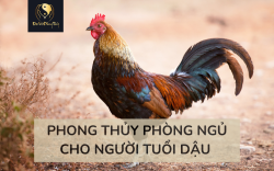Cách bày trí Phong thuỷ Phòng ngủ người tuổi Dậu